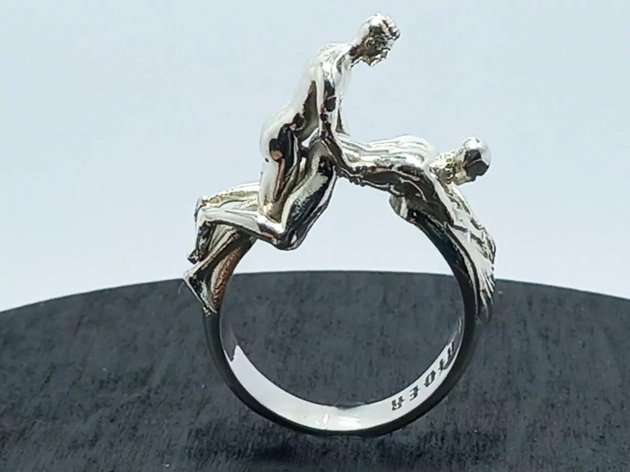Nude Dominant men doggy style sex ring - Image 5