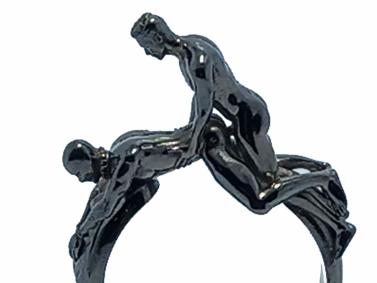 Nude Dominant men doggy style sex ring - Image 4