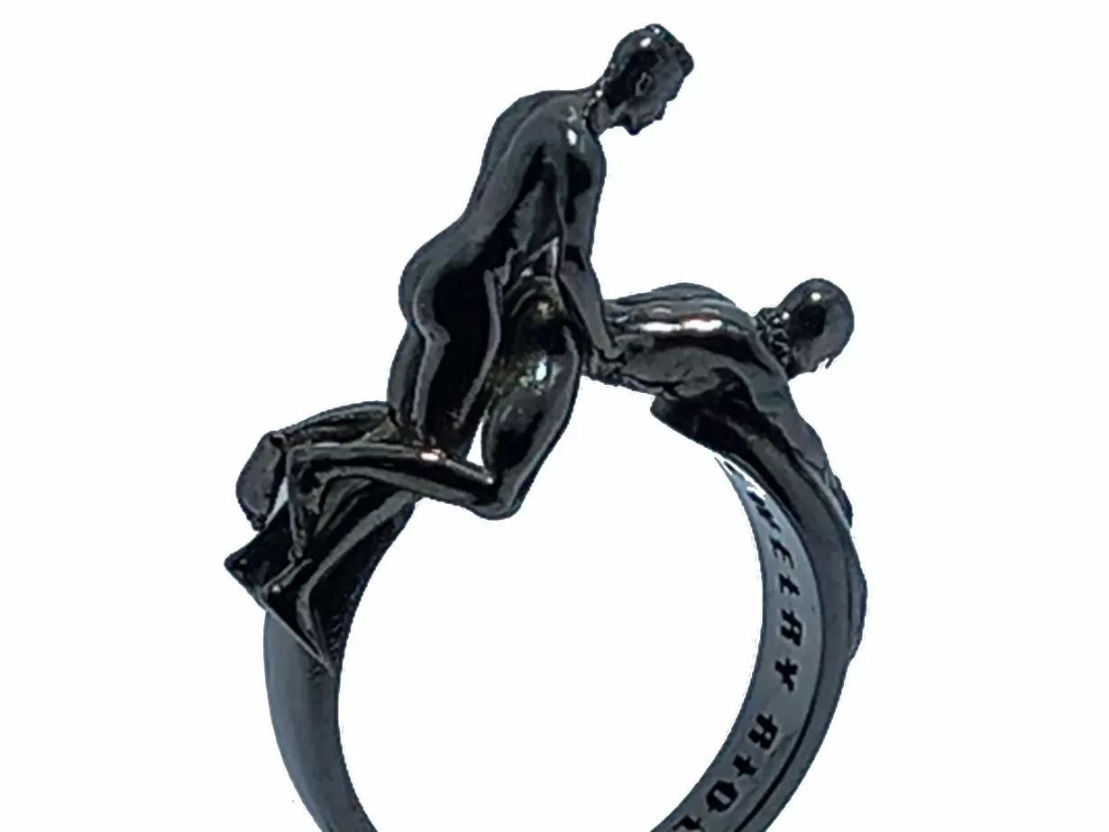 Nude Dominant men doggy style sex ring - Image 3