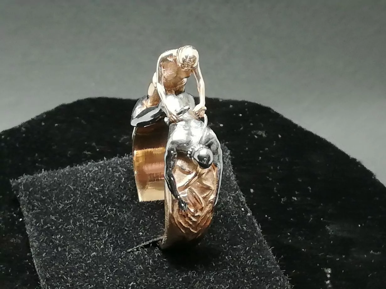 Dominant pegging sexual statement ring - Image 10