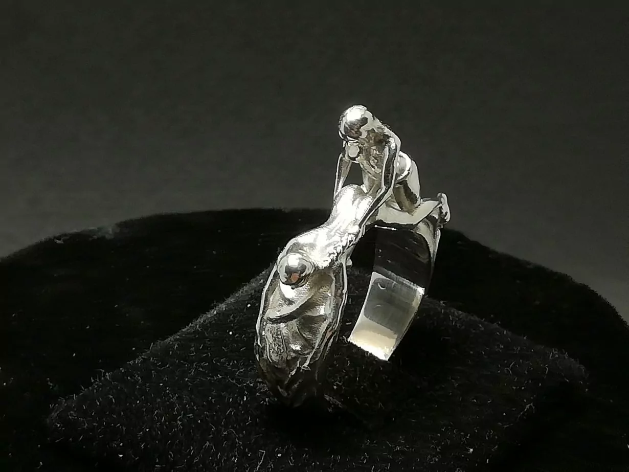 Two women doggy style sexual ring - Image 8