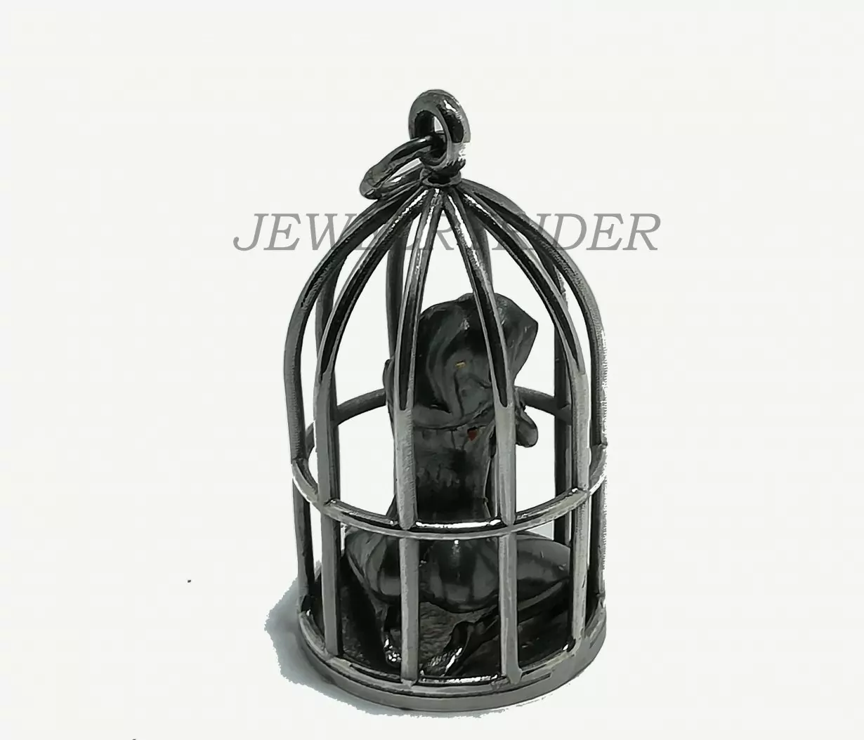 The woman in the cage - Image 4