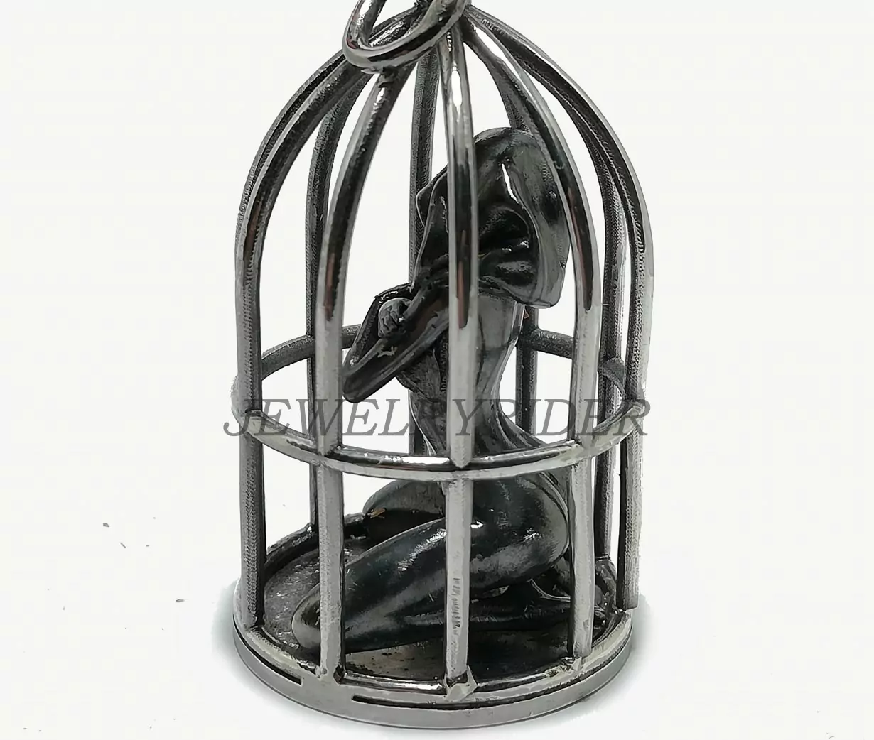 The woman in the cage - Image 3