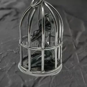 The woman in the cage