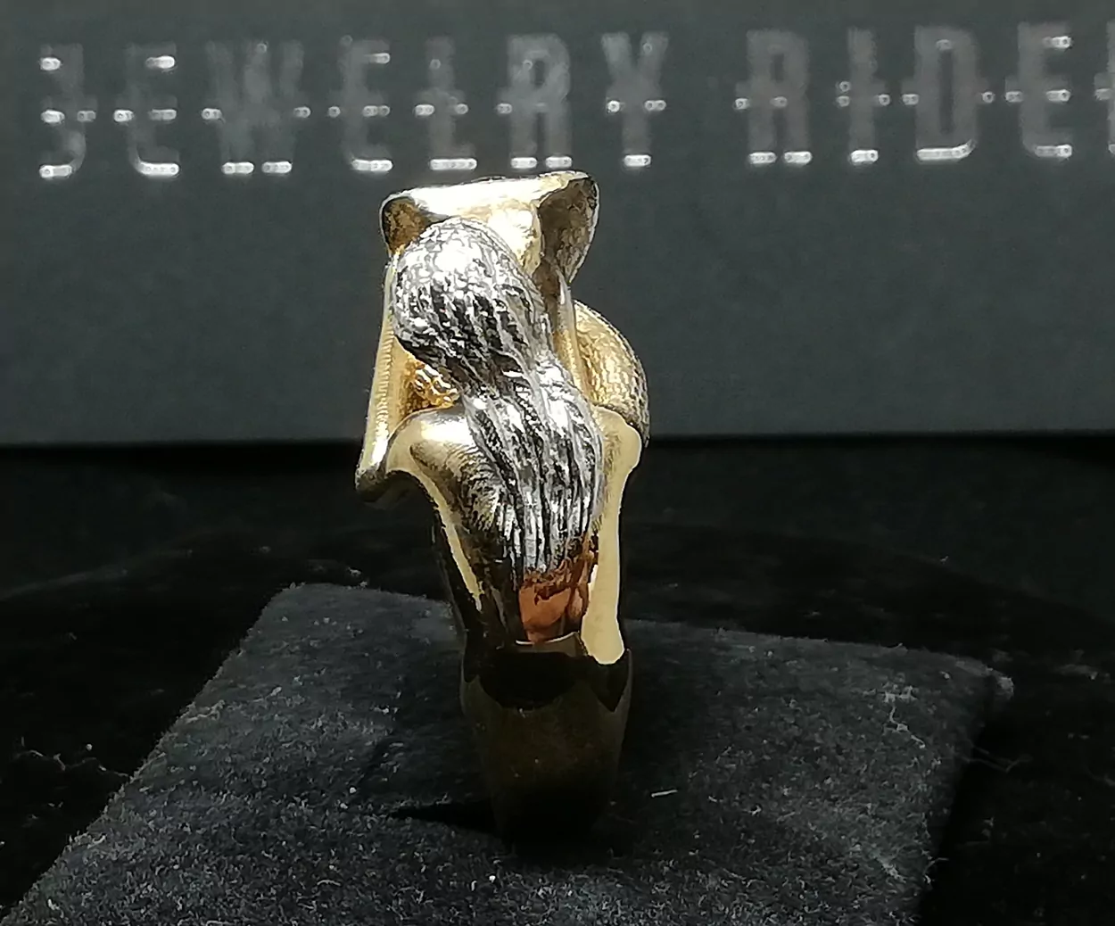 Woman kissing a cobra snake - Image 9