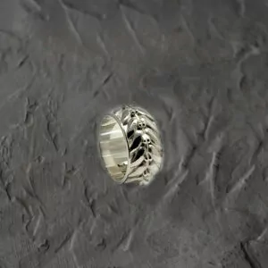 Gay Men's Train Orgy Ring