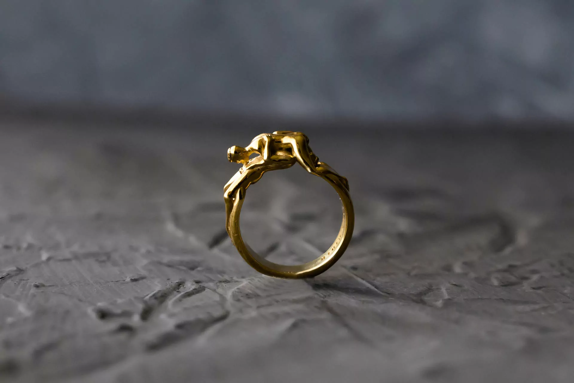 IMG_1188 Home erotic jewelry JewelryRider