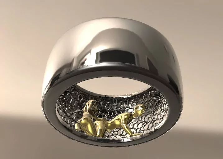 The secret dominant peg me Mistress pet statement ring - Image 4