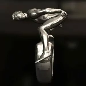 3D STL file collection of 15 gay rings